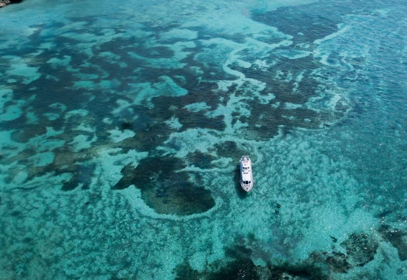 barriera-corallina-by-max-ravier-gallery-8 barriera-corallina-by-max-ravier-gallery-8